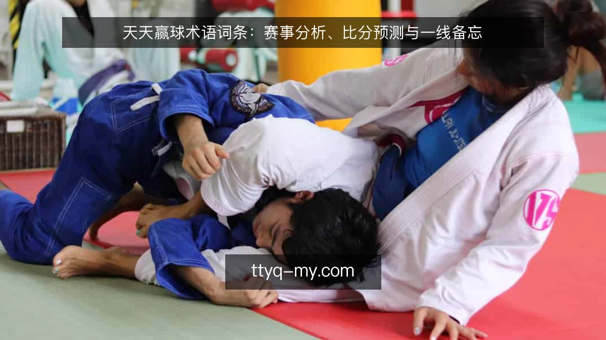 天天赢球术语词条：赛事分析、比分预测与一线备忘